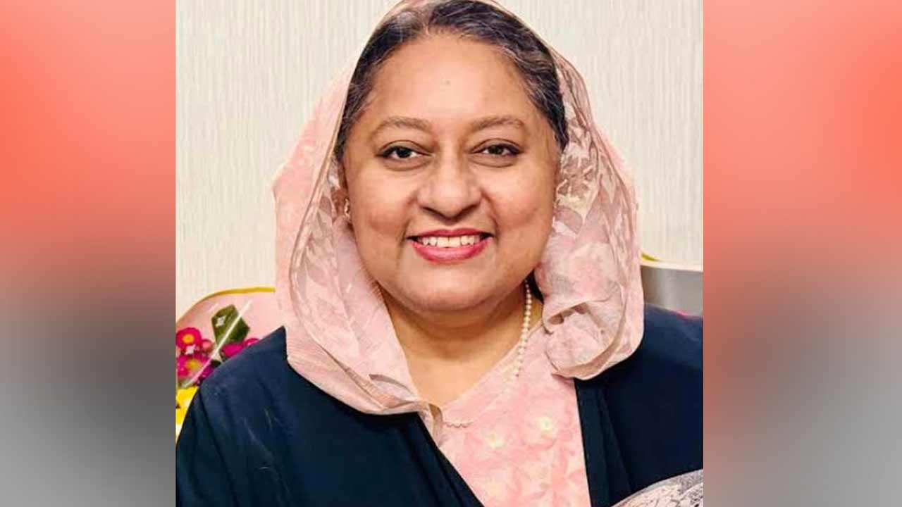 সংগৃহীত ছবি