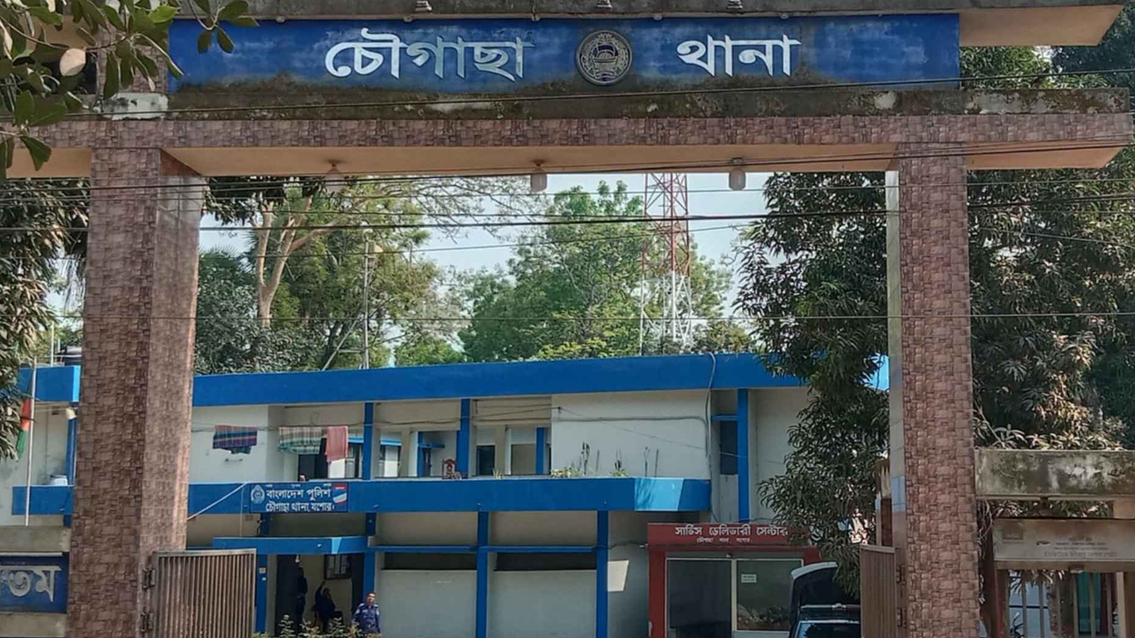 সংগৃহীত ছবি