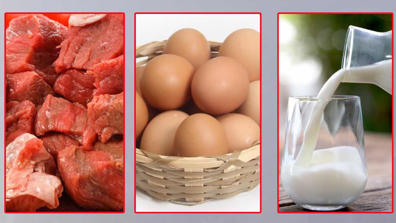 রমজানে সুলভ মূল্যে ঢাকার যে ২৫ স্থানে মিলবে দুধ, ডিম ও মাংস