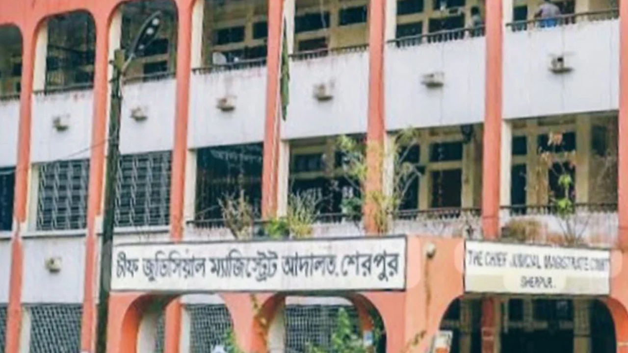সংগৃহীত ছবি