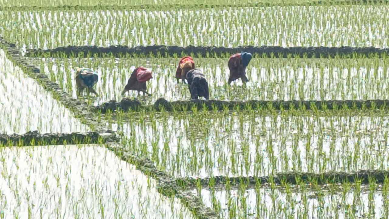 ছবি: দেশ টিভি