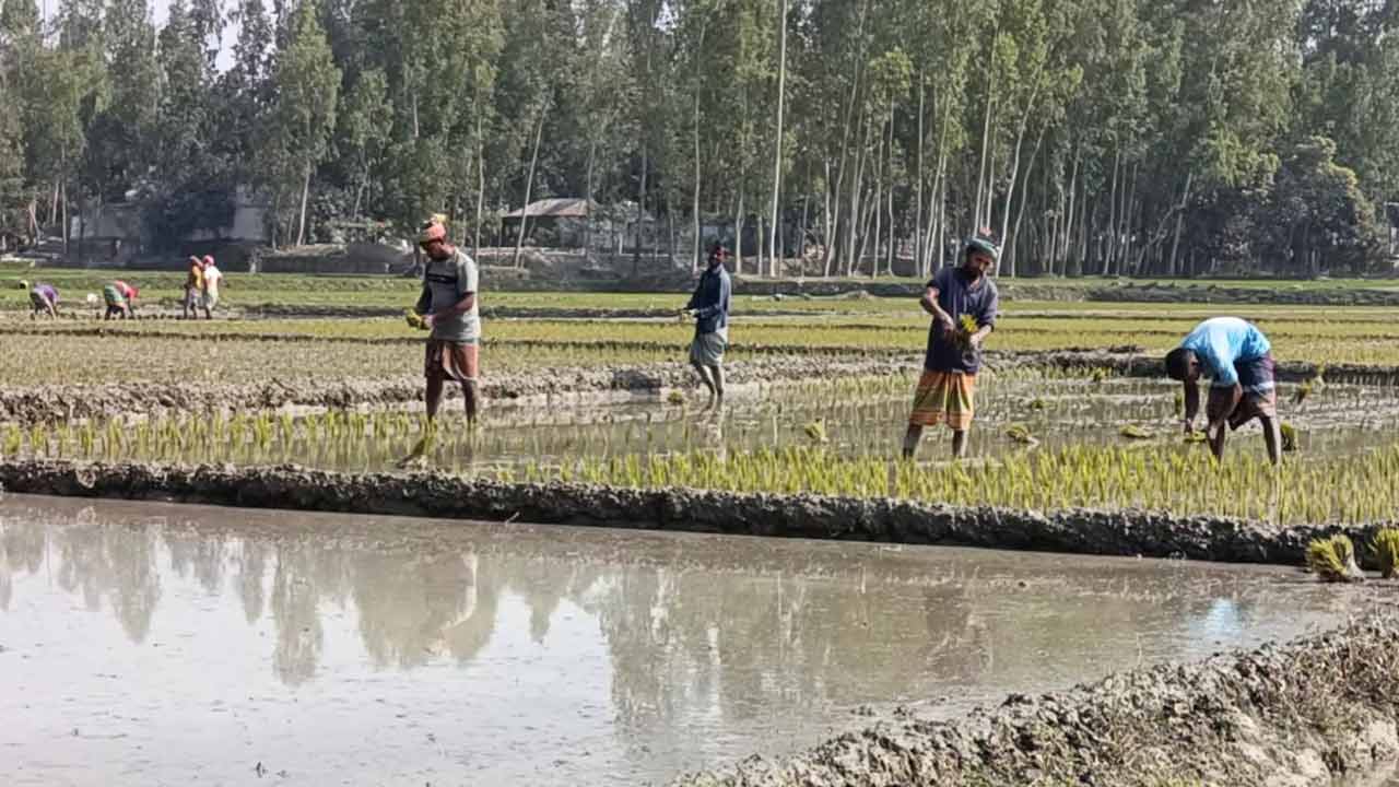 ছবি: দেশ টিভি