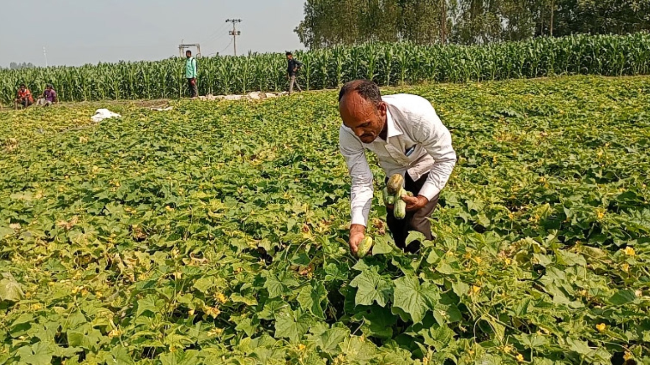 ছবি: দেশ টিভি