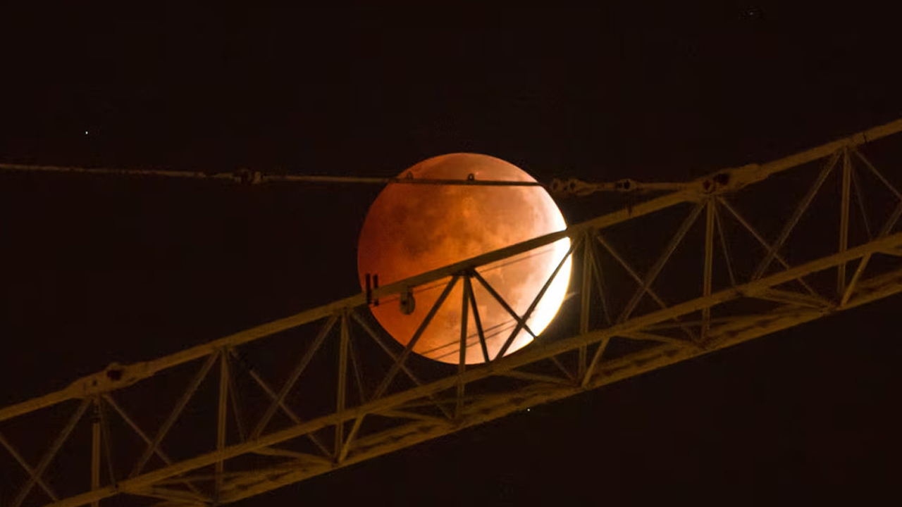 ছবি : সংগৃহীত