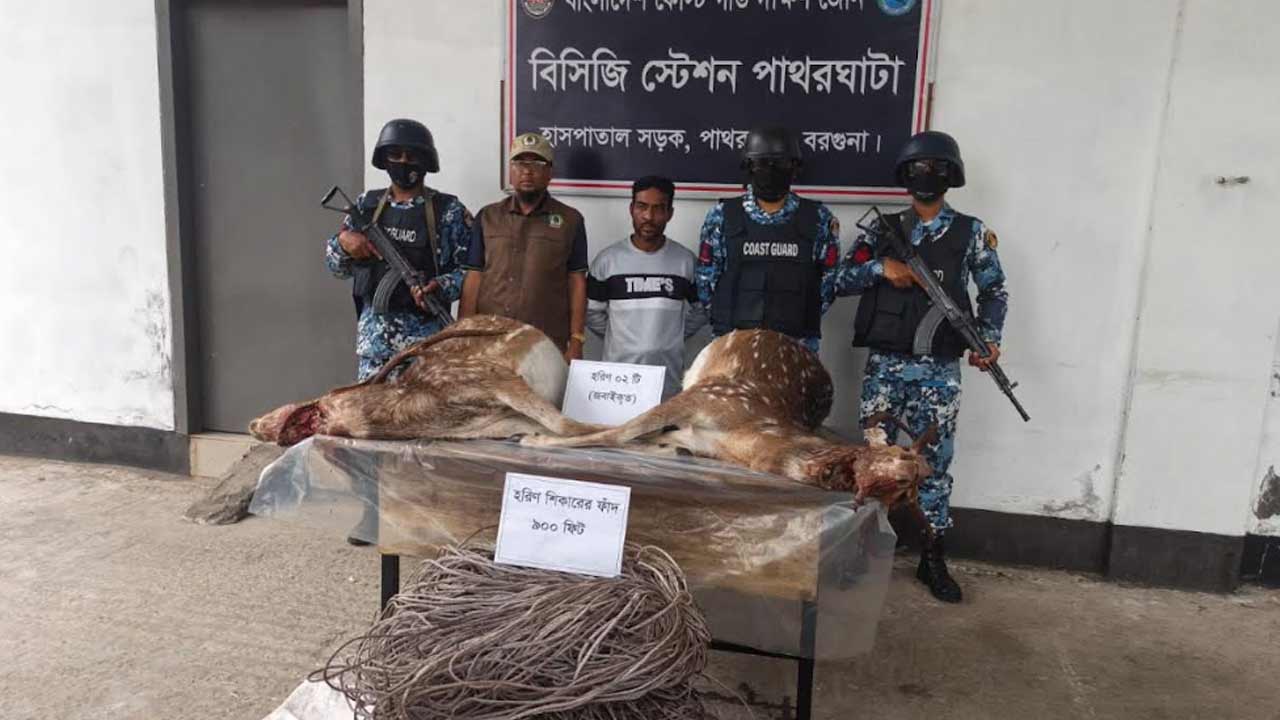 বরগুনায় হরিণসহ গ্রেপ্তার স্বামী, ক্ষোভে তালাক দিলেন স্ত্রী