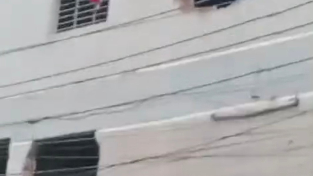 নওগাঁয় আ.লীগ কার্যালয়ে বাজলো শেখ মুজিবুর রহমানের ৭ মার্চের ভাষণ