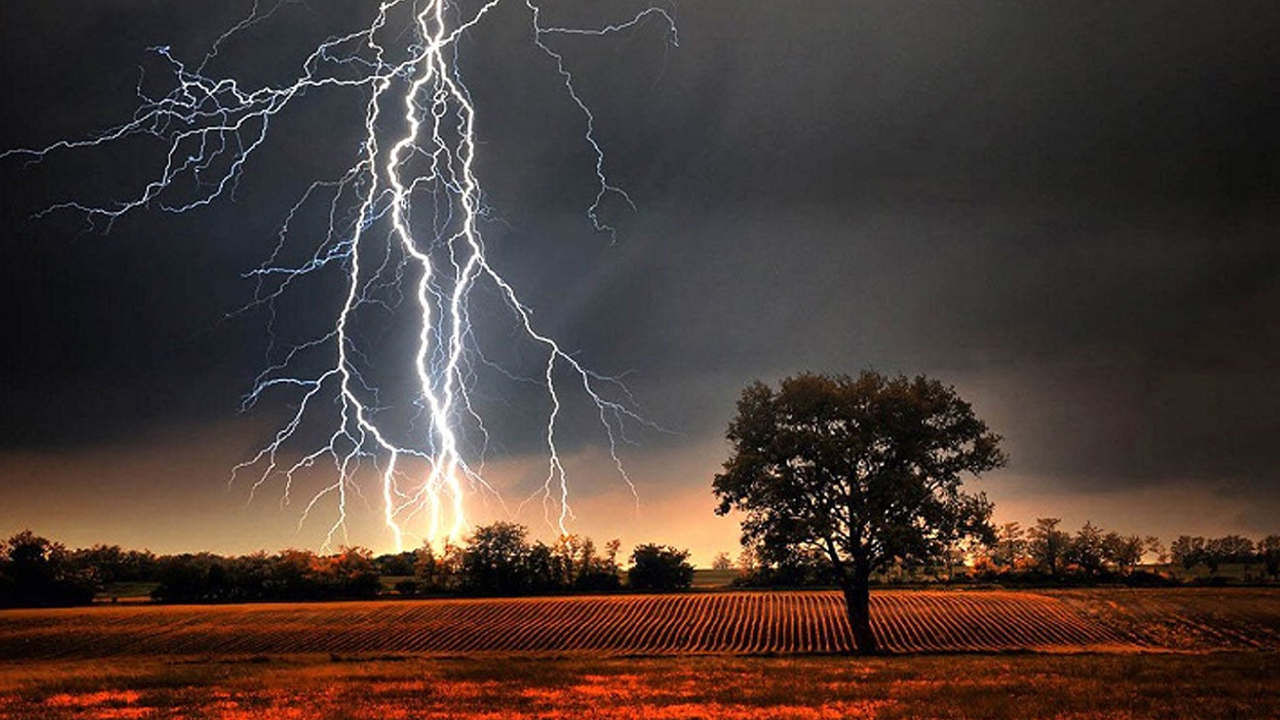 নেত্রকোনায় বজ্রপাতে ২ জনের মৃত্যু