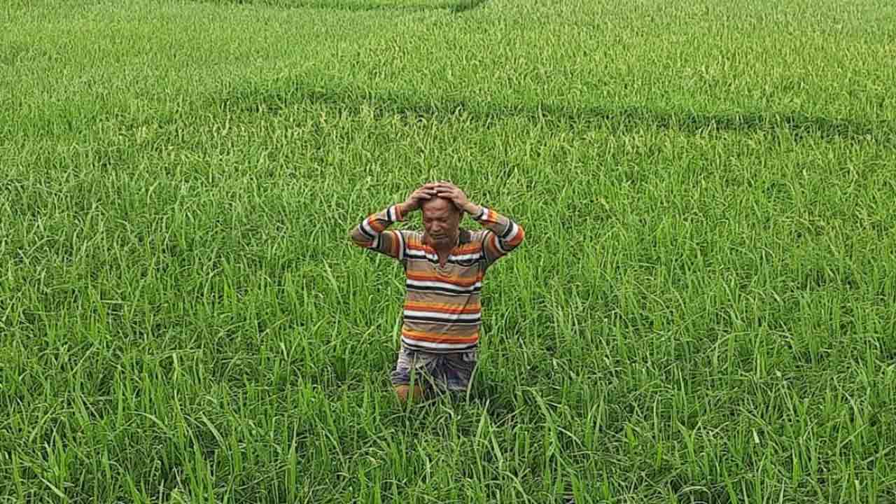 ছবি : দেশ টিভি