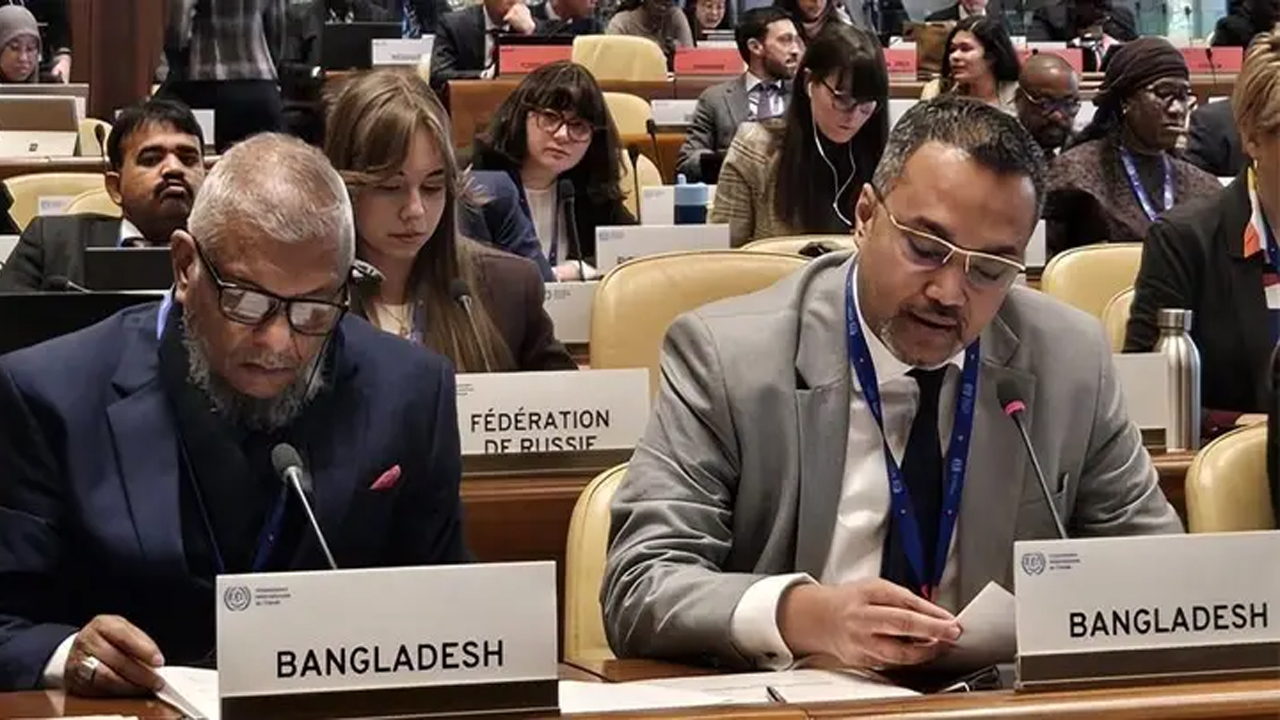 সংগৃহীত ছবি