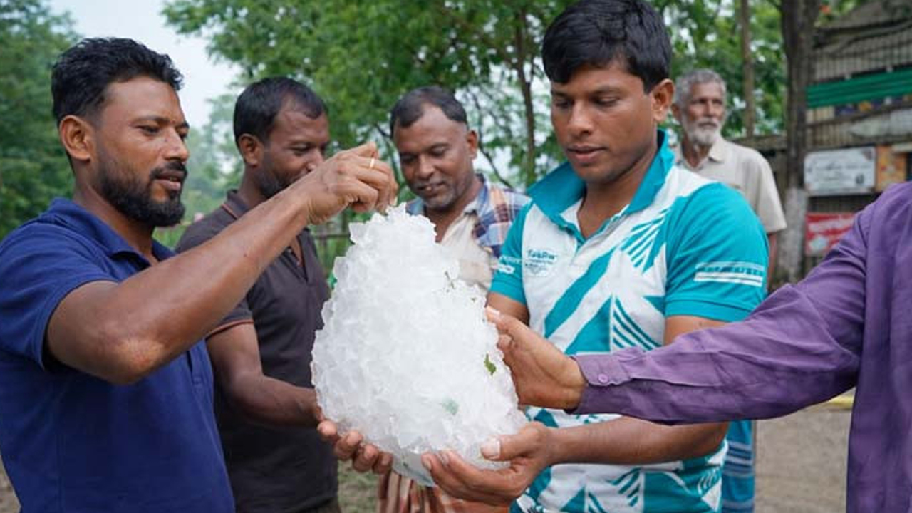 সংগৃহীত ছবি