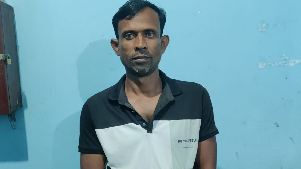 সংগৃহীত ছবি