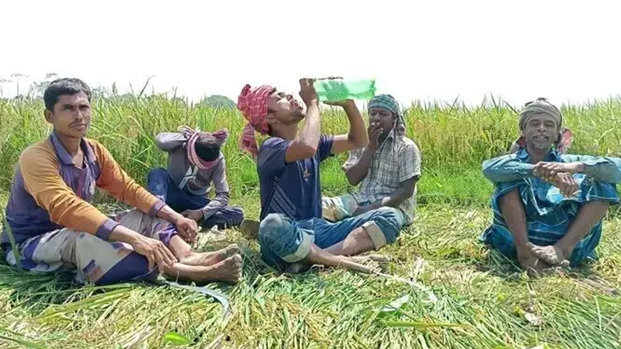 সংগৃহীত ছবি