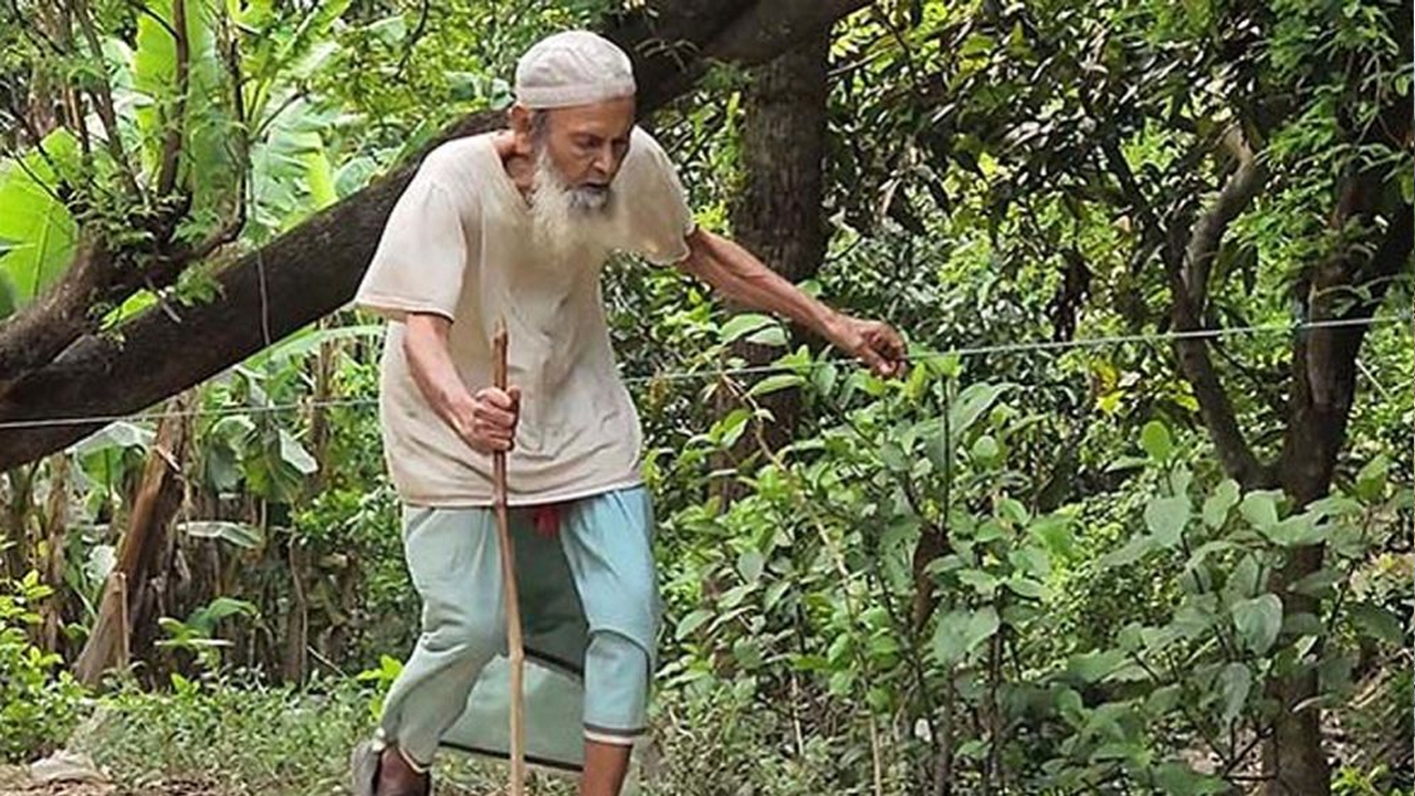 ছবি: সংগৃহীত