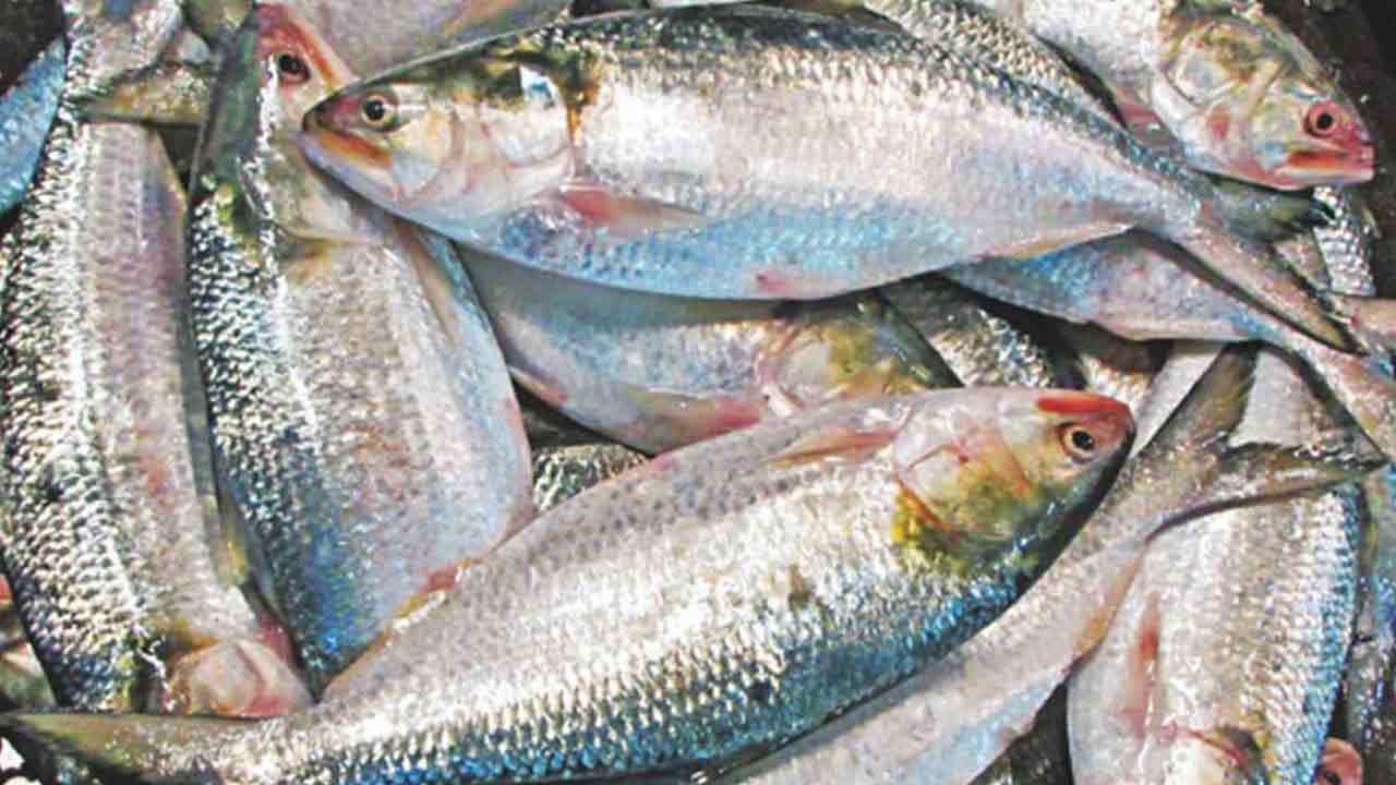 ছবি: দেশ টিভি