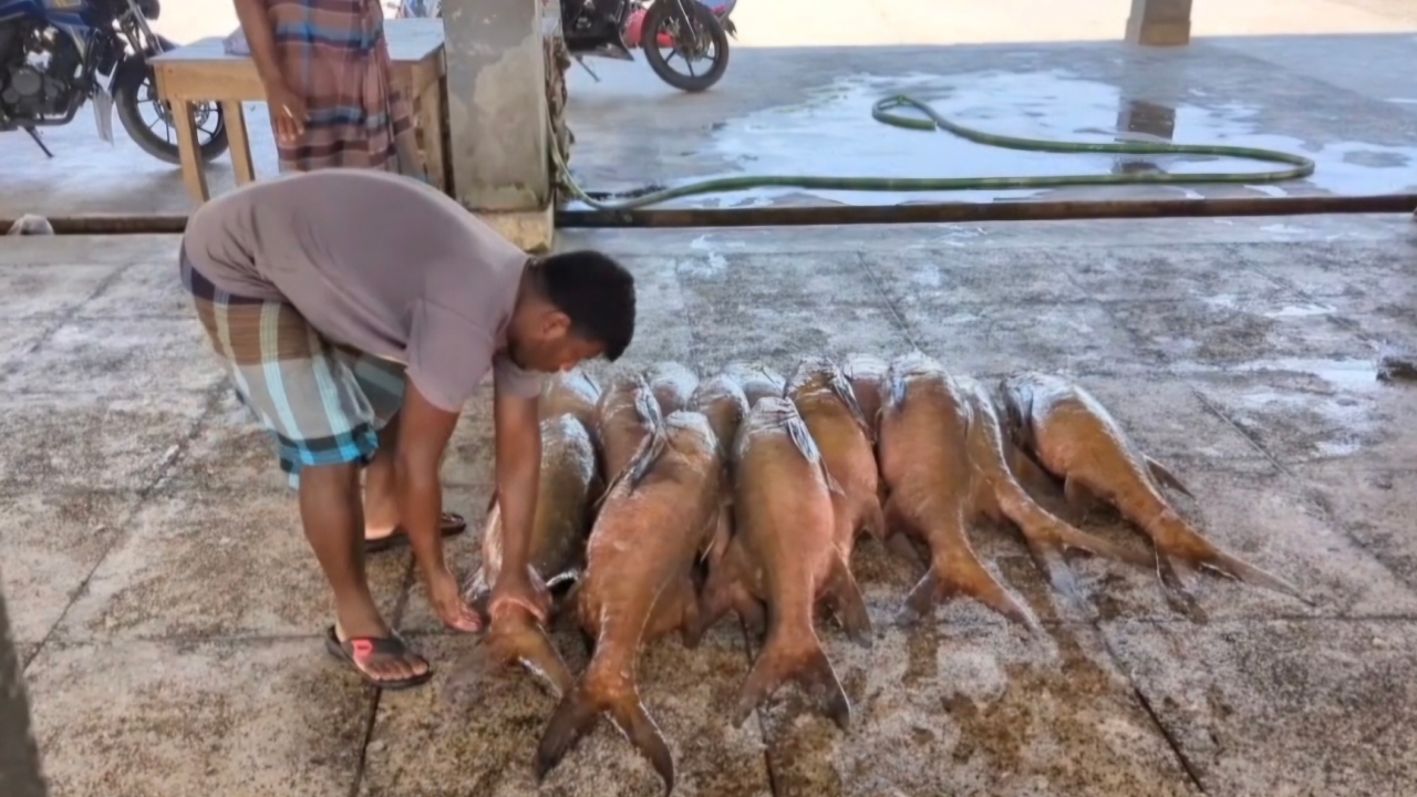 ছবি: দেশ টিভি