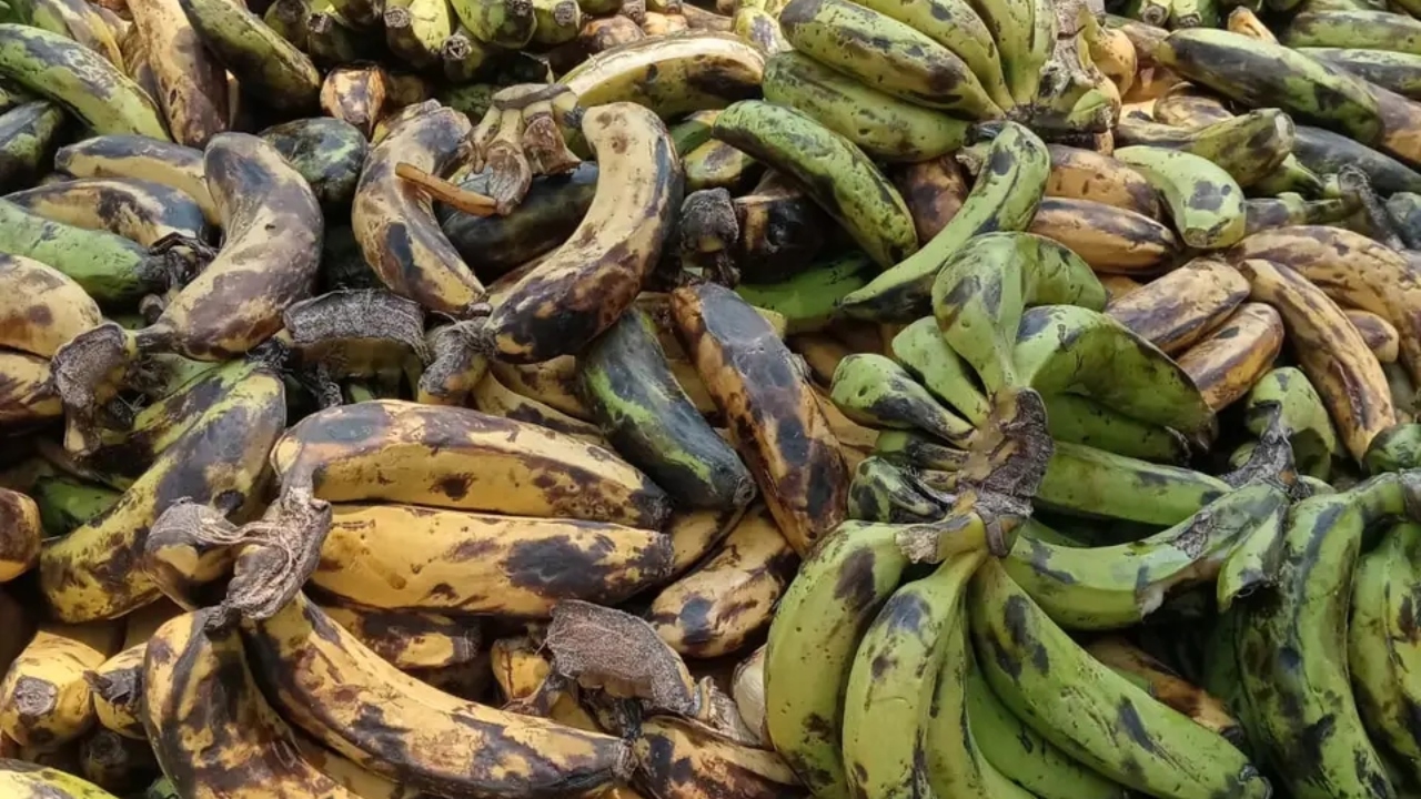 ছবি- দেশ টিভি