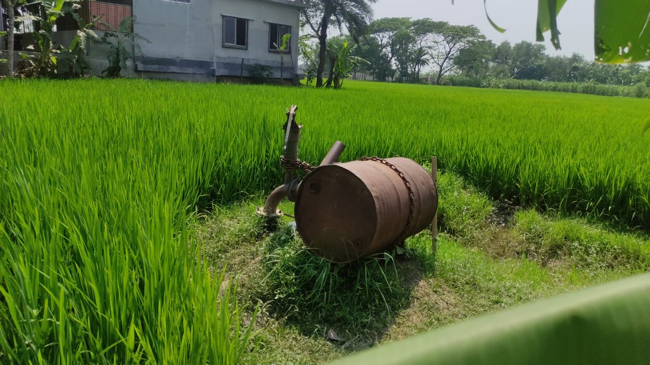 ছবি- দেশ টিভি