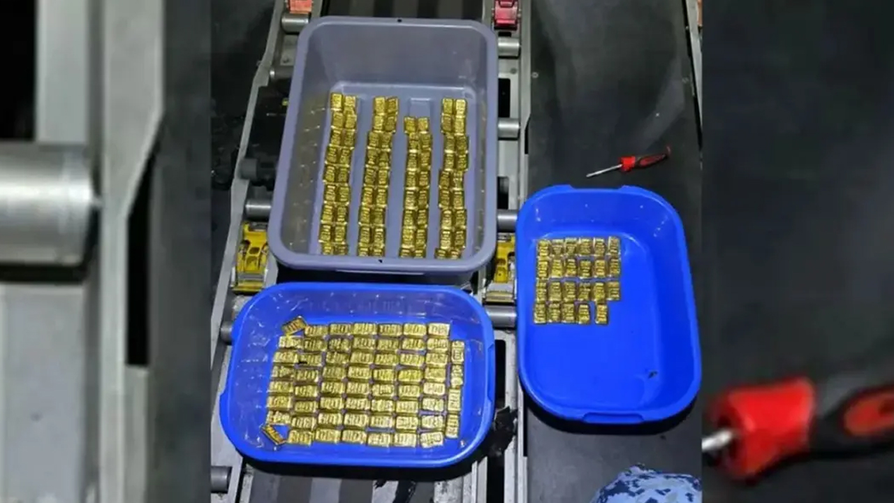 ছবি- সংগৃহীত