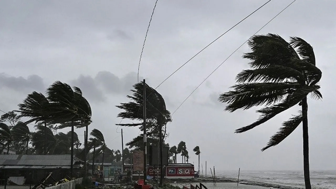 ছবি- সংগৃহীত