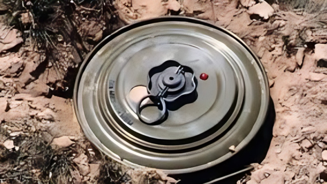 ছবি: দেশ টিভি