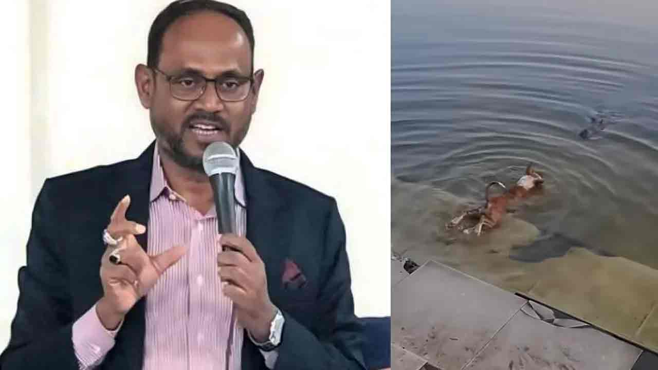 বাগেরহাটে কুকুর-কুমির কাণ্ডে কঠোর নির্দেশনা প্রতিমন্ত্রীর