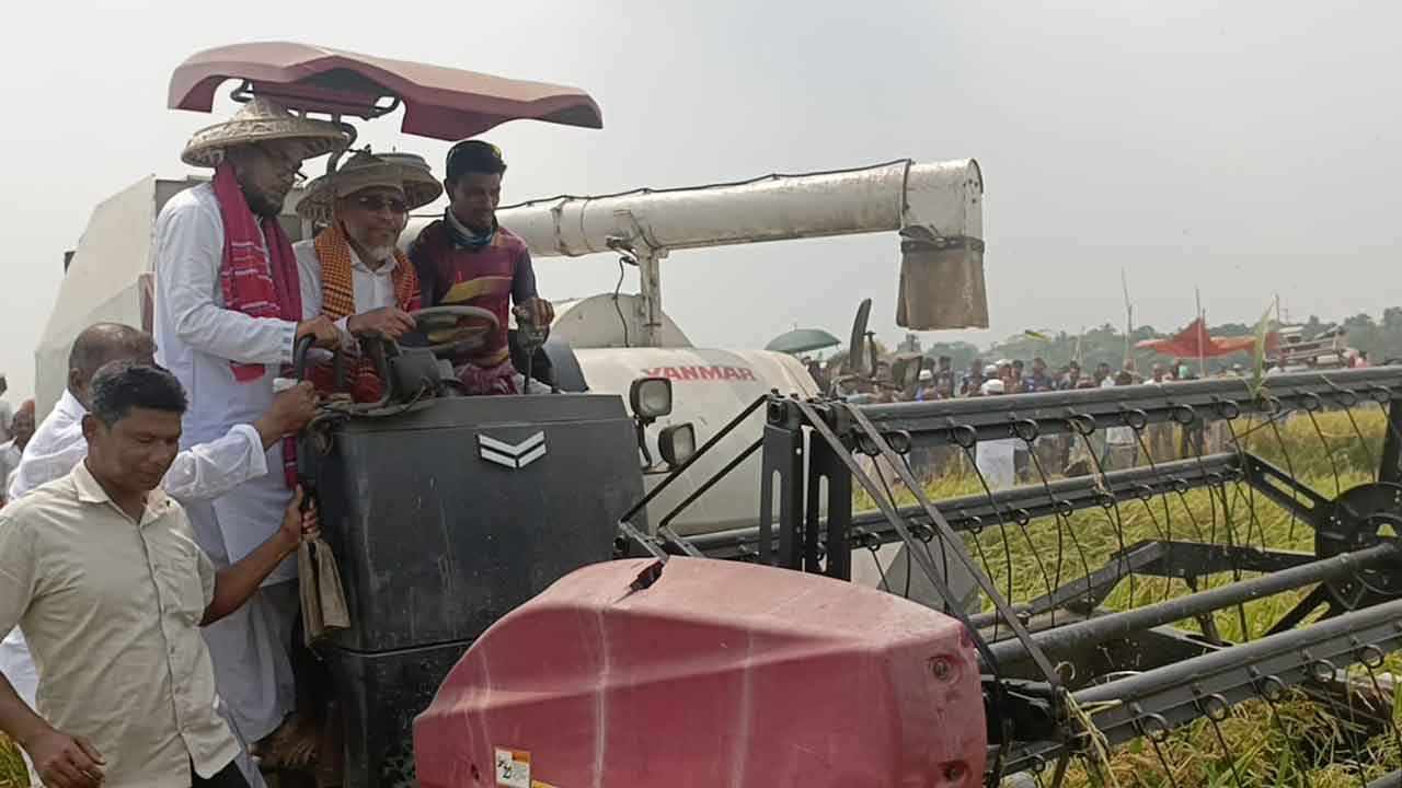 নেত্রকোনার হাওরে ধান কাটা উৎসবের উদ্বোধন করেছেন লুৎফুজ্জামান বাবর&nbsp;