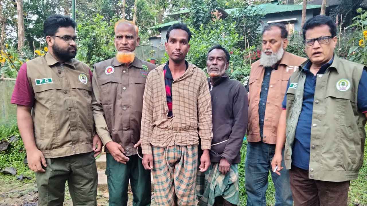 ছবি- দেশ টিভি