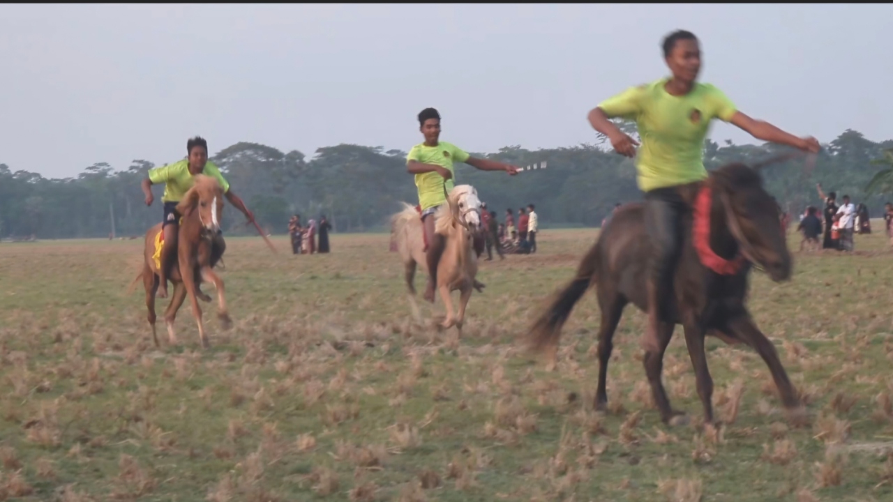 জিয়ানগরে ঐতিহ্যবাহী ঘোড়দৌড় প্রতিযোগিতা, উৎসবে মেতে ওঠে হাজারো মানুষ
