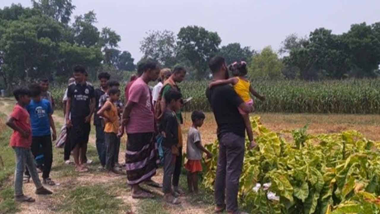 মেহেরপুরে সাপের কামড়ে কৃষকের মৃত্যু