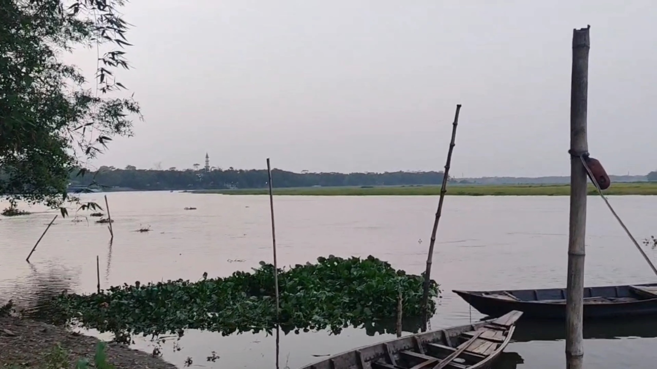ছবি: দেশ টিভি
