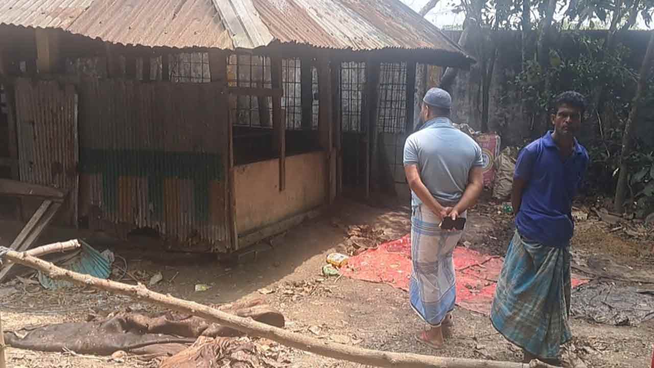 ফেনীতে গরুর খামারে আগুন