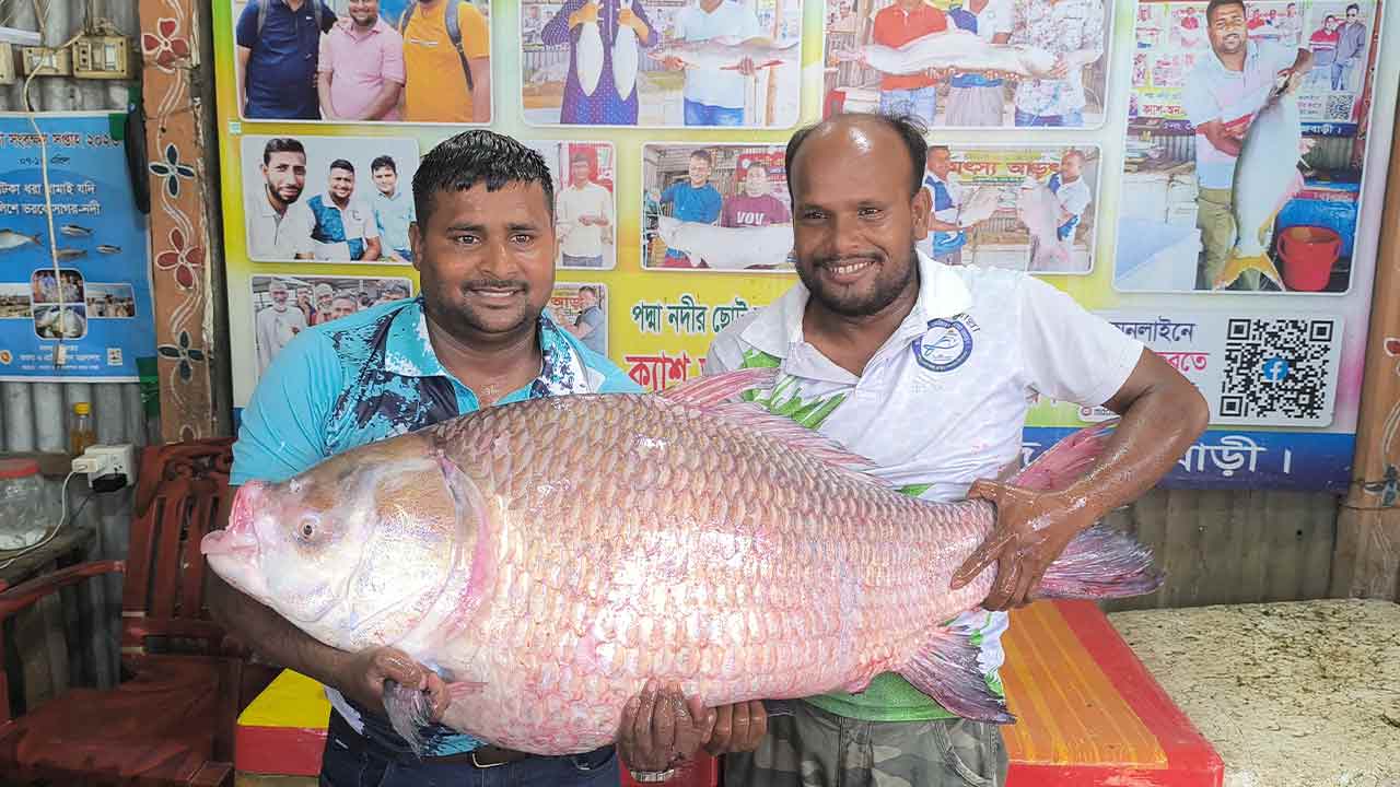 ছবি- দেশ টিভি