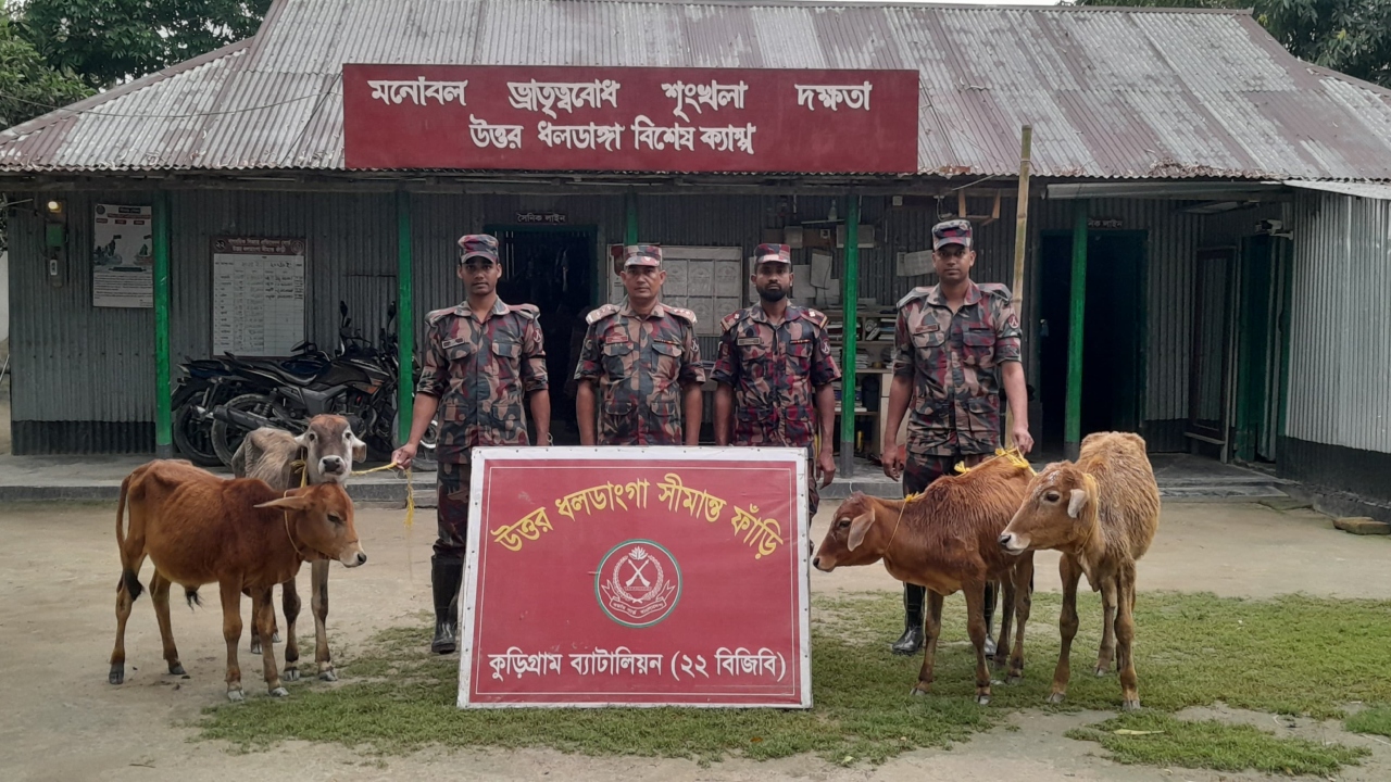 কুড়িগ্রামে বিজিবির অভিযানে মাদকসহ বিপুল মালামাল জব্দ