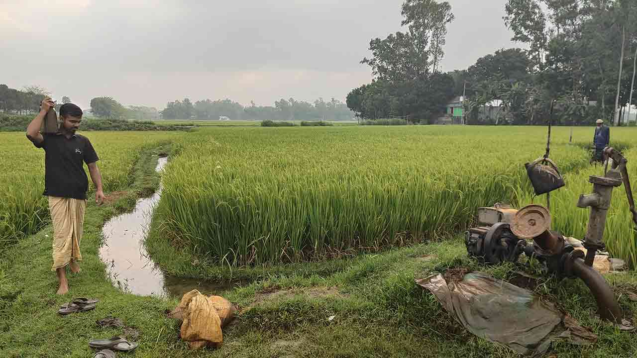 ছবি: দেশ টিভি