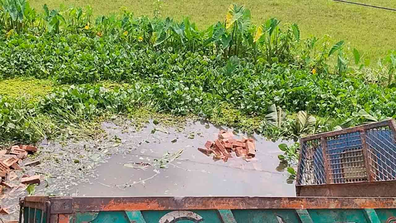 ঝালকাঠিতে ইটবোঝাই ট্রলি খাদে পড়ে হেলপার নিহত