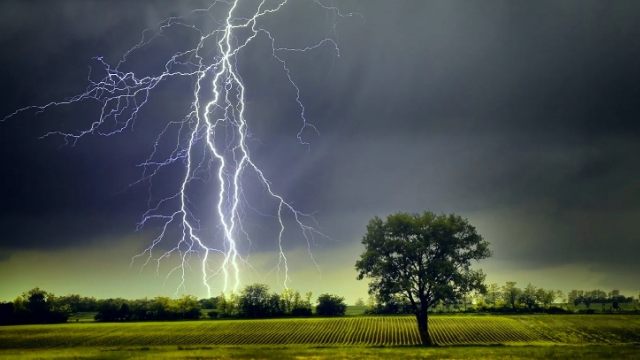 বজ্রপাতে ৭ জেলায় অন্তত ১৪ জনের মৃত্যু