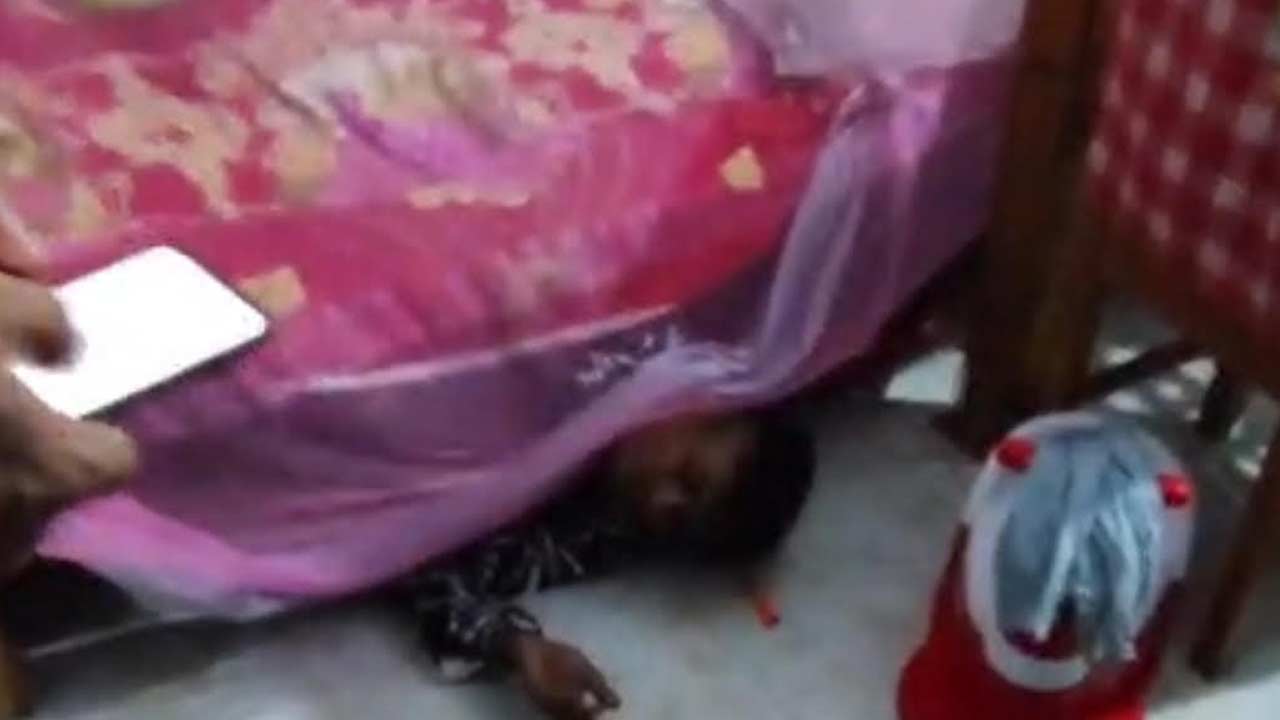 সংগৃহীত ছবি