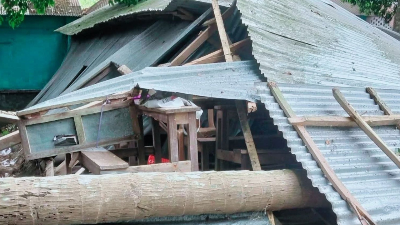 নড়াইলে ঝড়ে বিদ্যালয়ের উপর গাছ পড়ে ২ শিক্ষার্থী আহত