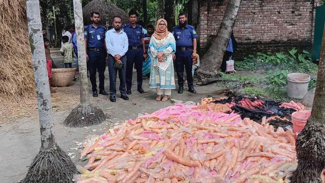 শেরপুরে আইসক্রিম কারখানায় অভিযান, ব্যবসায়ীকে জরিমানা