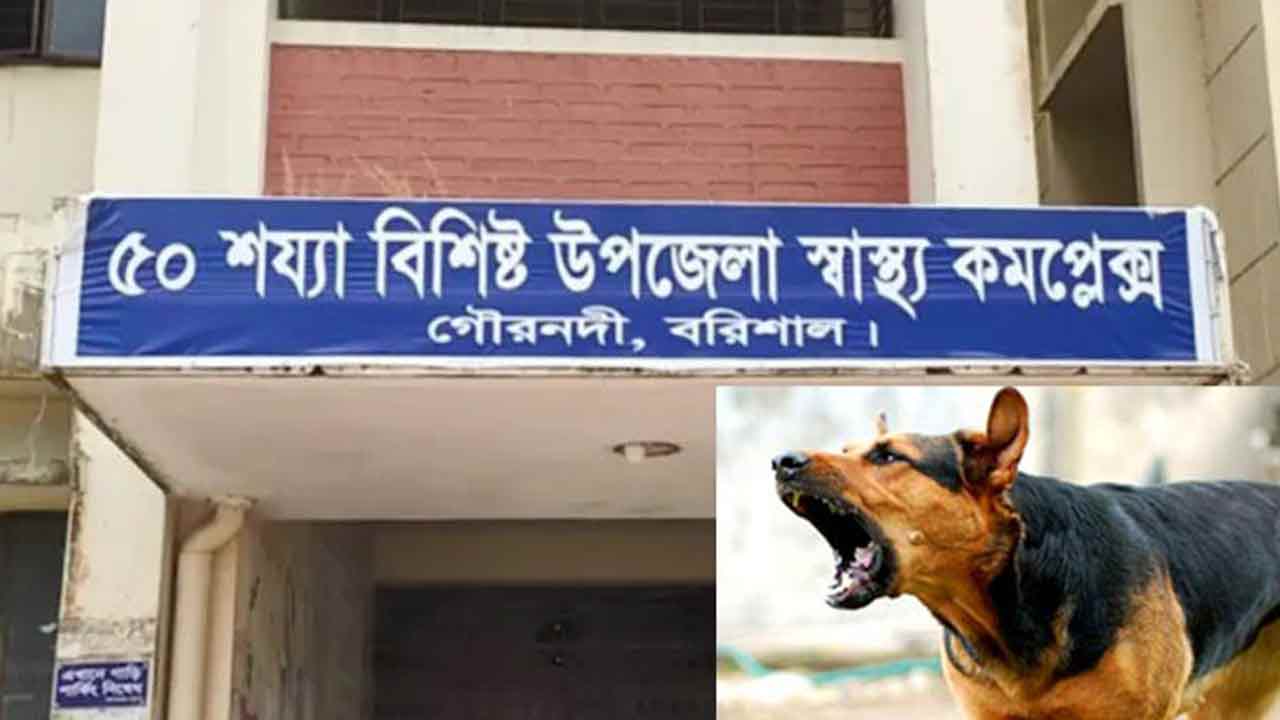 ছবি: দেশ টিভি