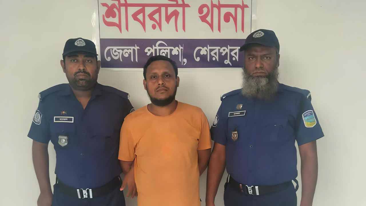 শেরপুরে ইয়াবাসহ মাদক কারবারি গ্রেপ্তার