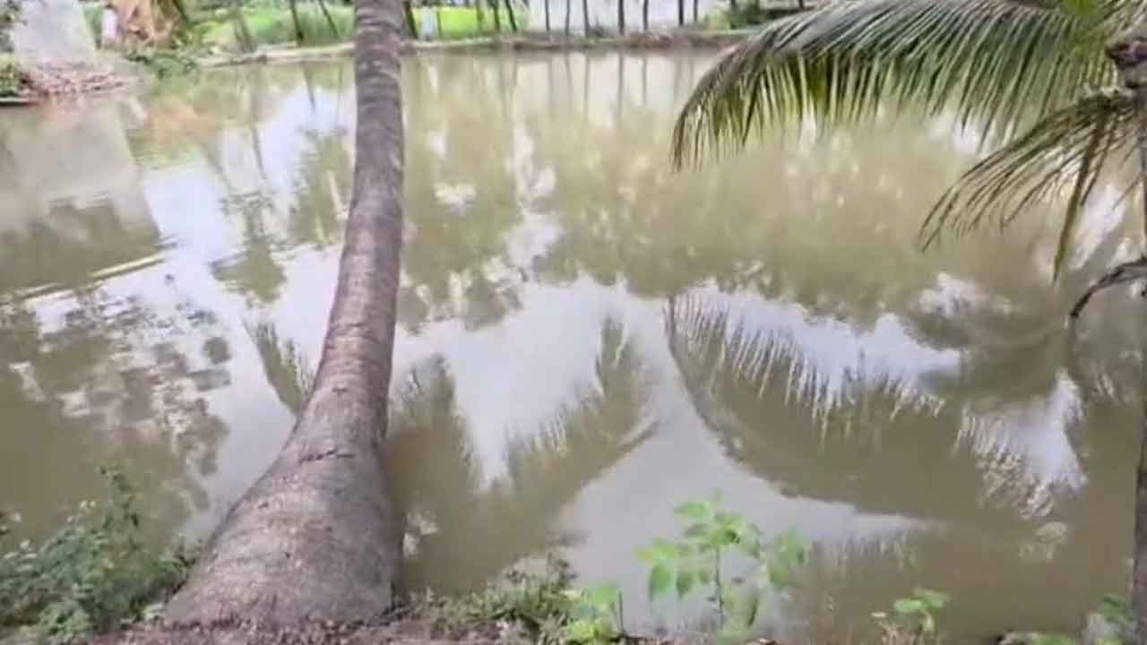 ছবি: দেশ টিভি
