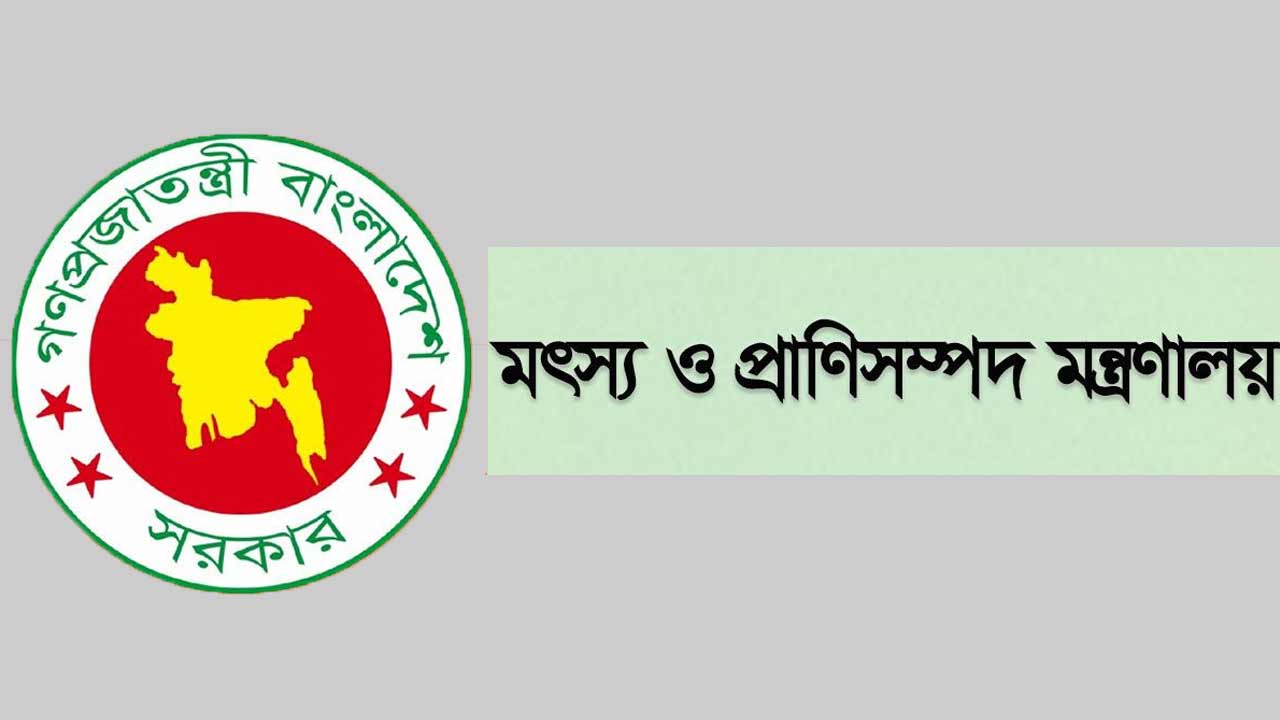 ভারত থেকে গরু আমদানির অনুমতিপত্রের বিষয়ে যা জানাল অধিদপ্তর