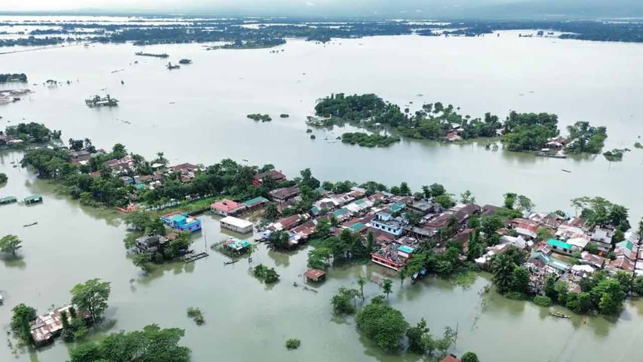 ফাইল ছবি