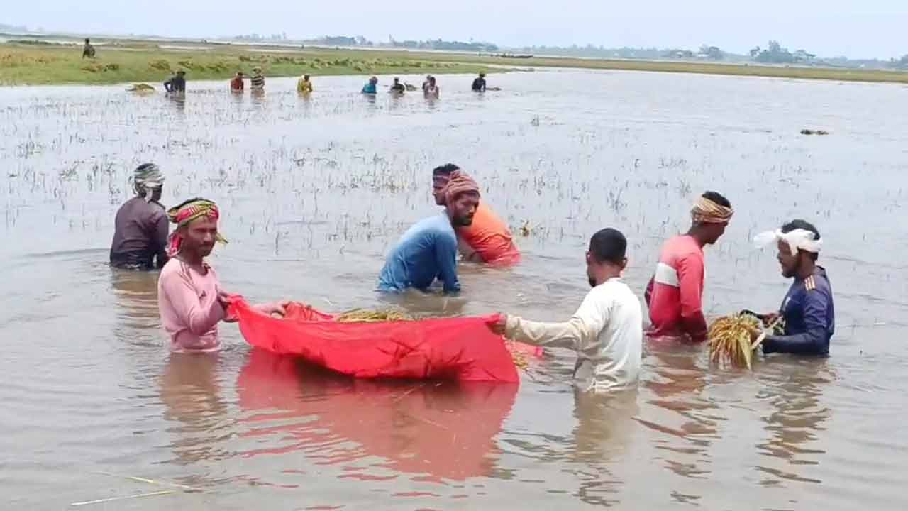 ছবি: দেশ টিভি