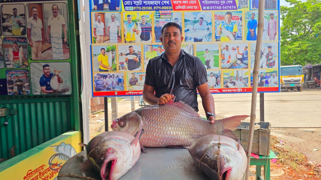 ছবি: দেশ টিভি