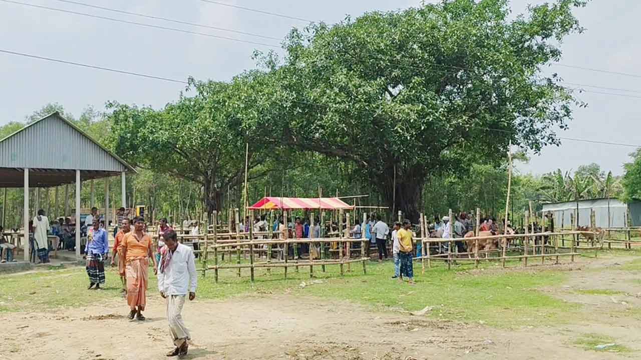 ছবি: দেশ টিভি