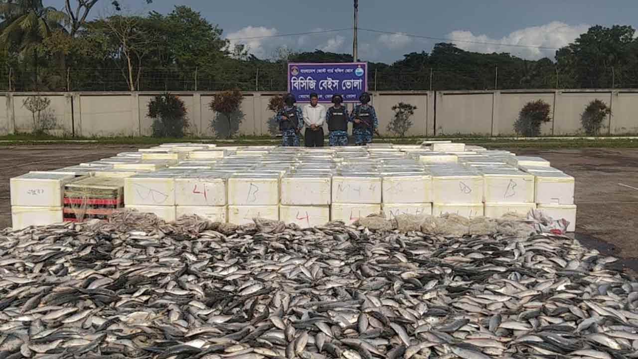 ছবি: দেশ টিভি