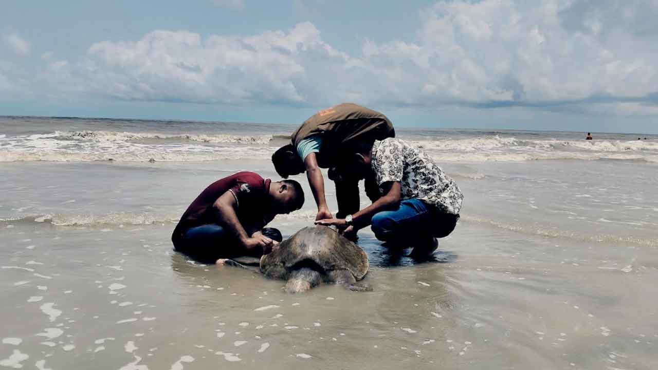 ছবি: দেশ টিভি
