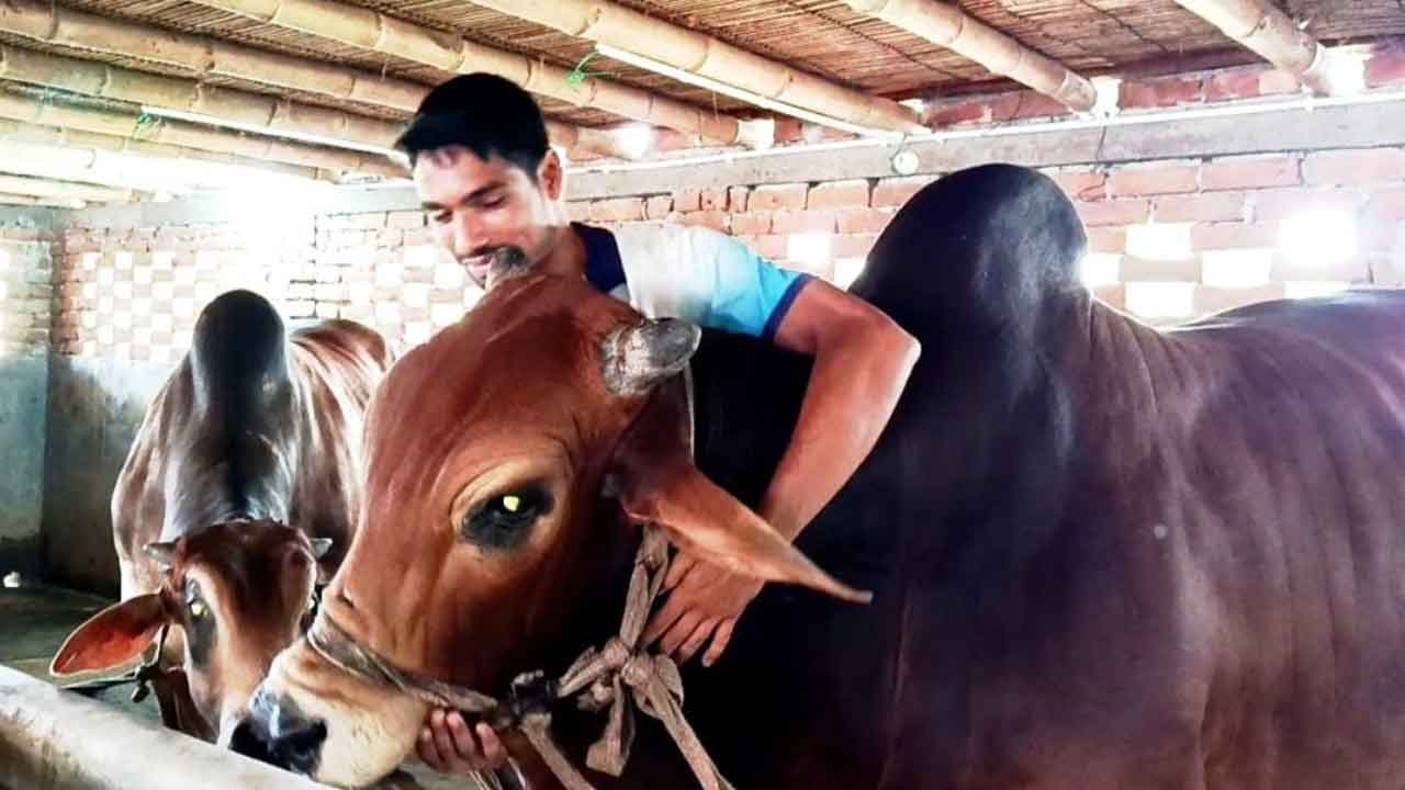 ছবি: দেশ টিভি